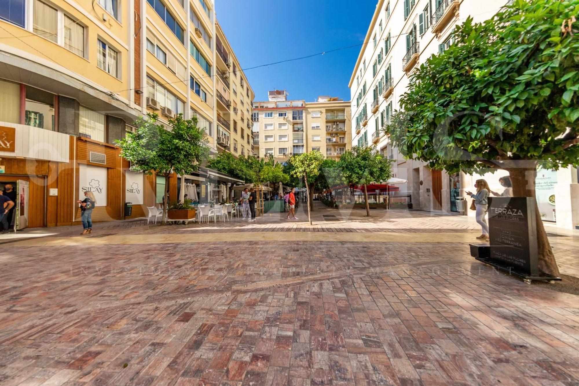 Spacious & Private Terrace By Rems Apartamento Málaga